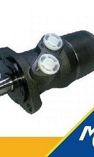 Motor hidráulico Parker Motor hidráulico Parker